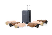 Laerdal Little Anne Combo 6-pack - Light, Dark & Combo